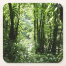 Search for rain coasters Nature