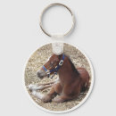 Search for foal accessories Colt