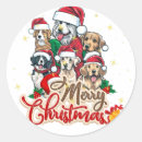 Search for funny dog round stickers Pet