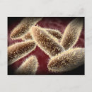 Search for eukaryotes Close up