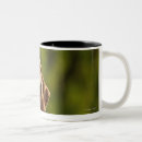 Search for front yard mugs Vertical