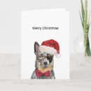 Search for australian cattle dogs cards Dog mum