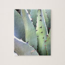 Search for cactus plant puzzles Succulents