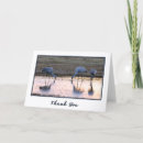 Search for crane cards Wildlife photography