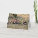 Search for larry cards Antlers