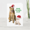 Search for fleas christmas cards Funny