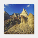 Search for format magnets Nature