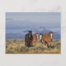 Search for howie postcards Landscape