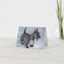 Search for scottish terrier cards Black