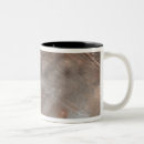 Search for deposition mugs Texture