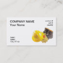 Search for protect business cards Safety