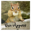 Search for hot plates tiles Nature