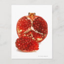 Search for pomegranate postcards Seed