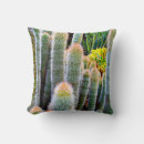 Search for succulent cushions Photography