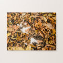 Search for tabby cat puzzles Colorful