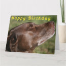 Search for labrador birthday cards Dogs