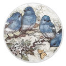 Search for bird knobs and pulls Illustration