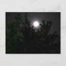 Search for moon light postcards Tree