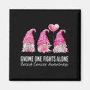 Search for gnomies magnets Gnome
