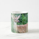 Search for whitetail buck mugs Animals