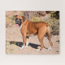Search for boxer puzzles Puppies