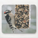 Search for woodpecker mousepads Nature