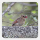 Search for beak stickers Bird
