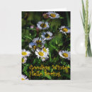 Search for hello spring cards Flowers