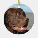 Search for chocolate lab christmas tree decorations Dog