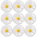 Search for shasta daisy flower stickers Floral