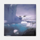 Search for antarctica magnets Ice floe