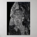 Search for owl drawing posters Wildlife