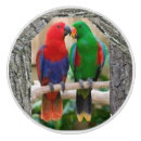 Search for knobs and pulls Birds
