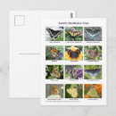 Search for colorful postcards Garden