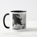 Search for infrared mugs Florida