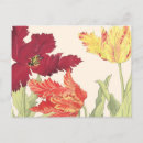 Search for ruffle postcards Flower