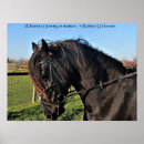 Search for horse quotes posters Beautiful