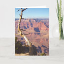 Search for grand canyon cards Nature