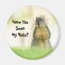 Search for these nuts magnets Joke