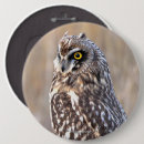 Search for owl badges Raptor