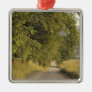 Search for dirt christmas tree decorations Road