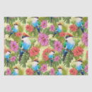 Search for hummingbird tissue paper Animals