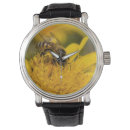 Search for bee image accessories Daisy