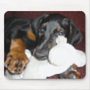 Search for doberman mousepads Animal