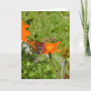 Search for new beginning cards Renewal