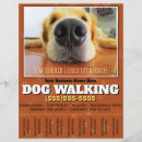Search for pet sitting dog walking flyers Earn extra money