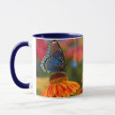 Search for flower spot mugs Butterfly