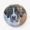 Search for dog christmas plates Pet