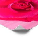 Search for romantic red rose posters Floral