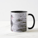 Search for black swan mugs Swimming